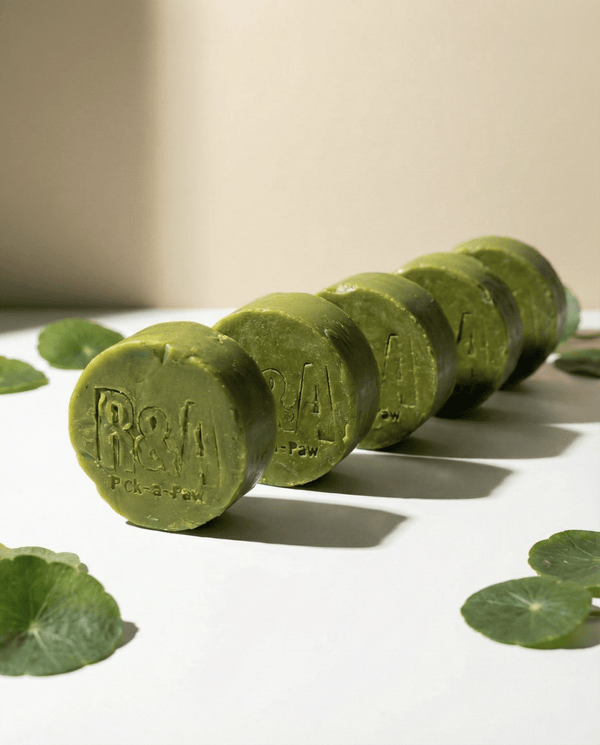 Madre de Cacao Healing Round Soap - R&A Pick a Paw